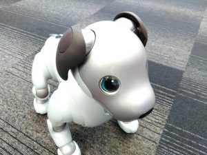 アイボ 買取 名古屋 名東区 千種区 リサイクルショップ