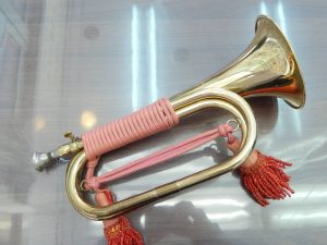 i-img1200x900-1615255003sapepk56991