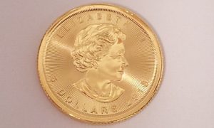 売る,世界各国の金貨,厚木