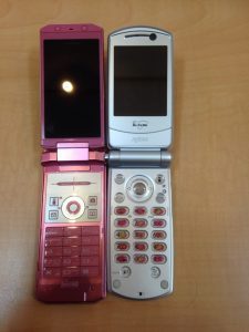 IMG_4633-225x300-225x300(1)