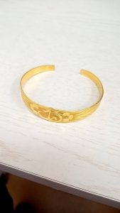 70B199ED-6191-4D6D-8365-4D68CC92D746_1_105_c