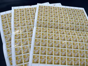 966DE925-9688-4CA6-B5C8-EF95378B2FA0