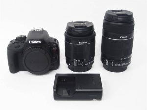 i-img1200x900-1619244885dwbsjy39317