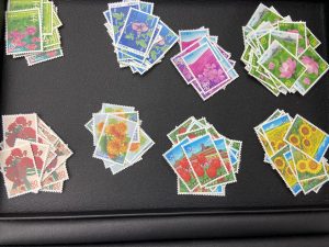 写真 2021-07-03 午前11 31 12