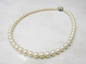 i-img1200x900-1625650986dwfulv505167