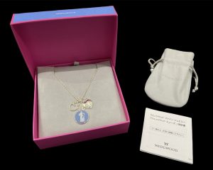 90085AC1-7EC0-402F-8A17-C3F4C34E77BF_1_201_a