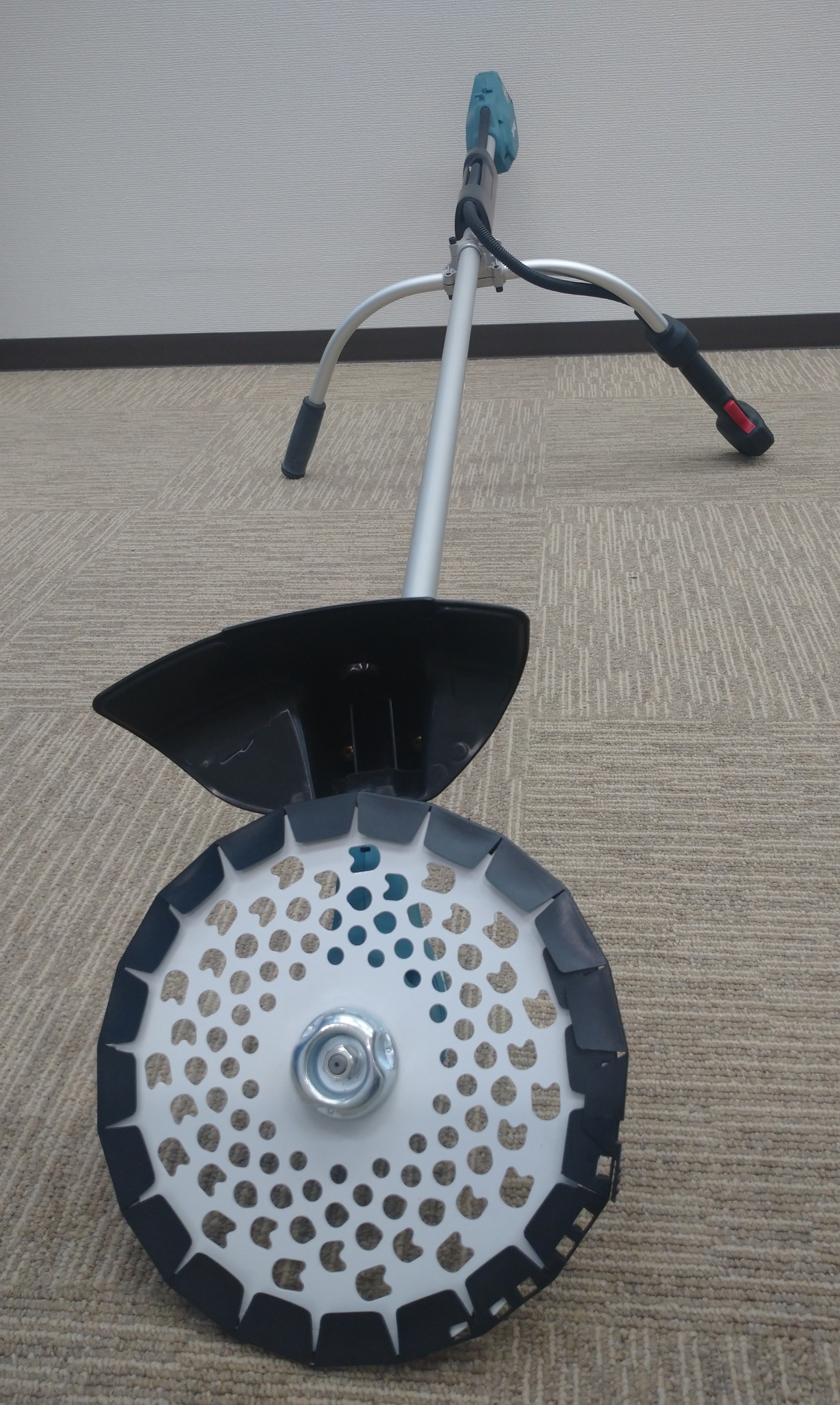 こちらはサンプルの画像です