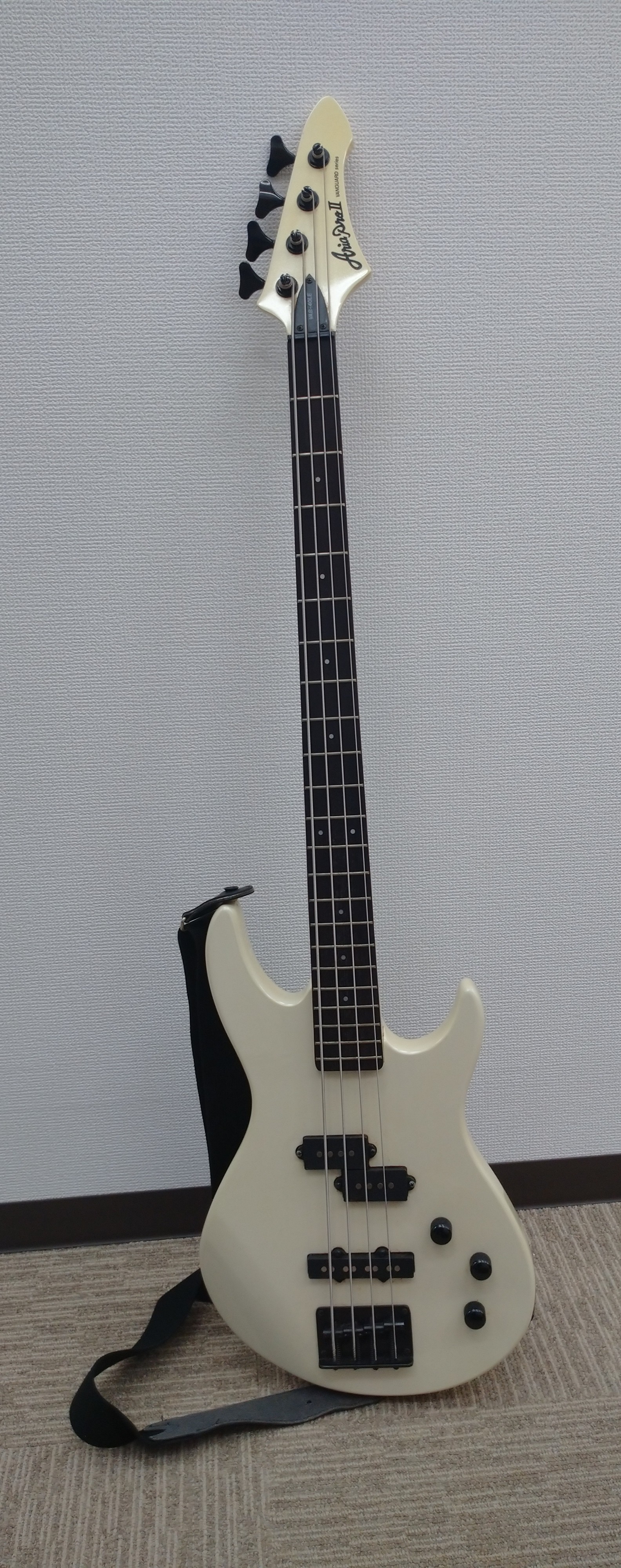 こちらはサンプルの画像です