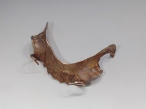 金の入れ歯をお買取り致しました♪大吉ミレニア岩出店です！金の入れ歯をお買取り致しました♪大吉ミレニア岩出店です！