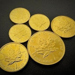 メイプル金貨 K24