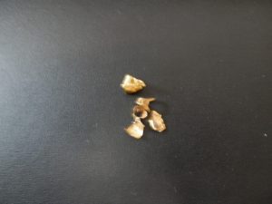 買取大吉八尾に金歯をお持ちください。平野、志紀、東大阪、布施、柏原、瓢箪山、加美、若江岩田、小阪。