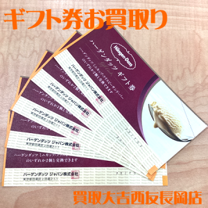 ギフト,券,ハーゲンダッツ,長岡