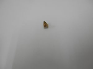 金歯を買取大吉八尾店へお持ちください。。平野、志紀、東大阪、布施、柏原、若江岩田、藤井寺、東大阪。