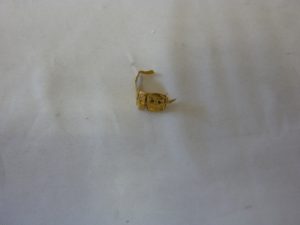 買取大吉八尾店に金歯をお持ちいただきました。平野、志紀、東大阪、瓢箪山、布施、若江岩田、柏原、加美、小阪、羽曳野。