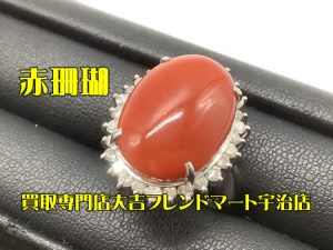 買取,宇治,赤珊瑚